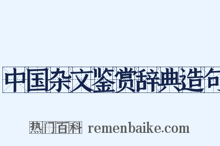 中国杂文鉴赏辞典造句是什么意思的图片